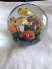 Vintage Murano Aquarium