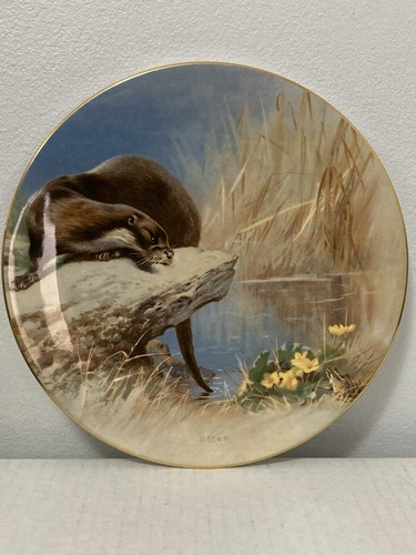 Royal worcester bone china - worcester,