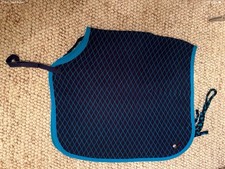 Thermalux exercise blanket