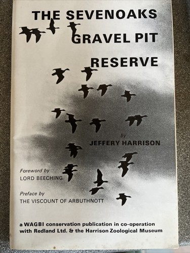 The sevenoaks gravel pit - the,
