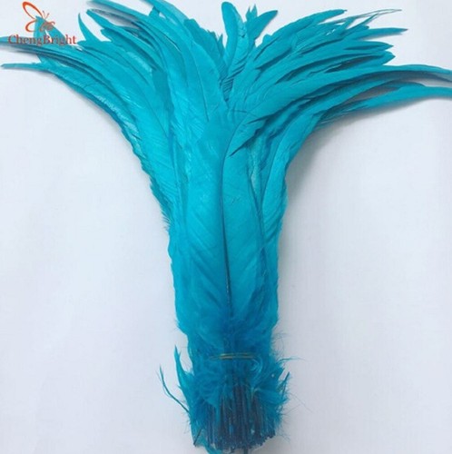 Long rooster tail - tail, feathers