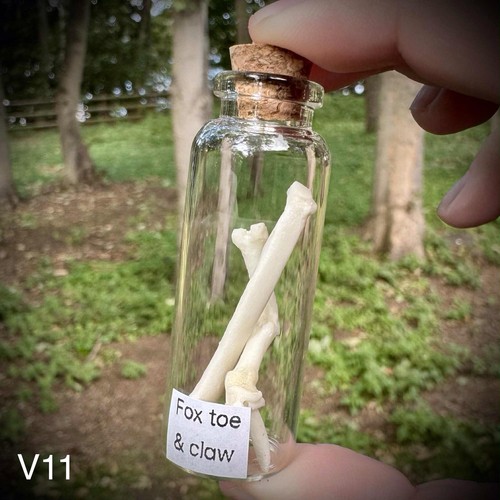 Fox toe and claw - ,,