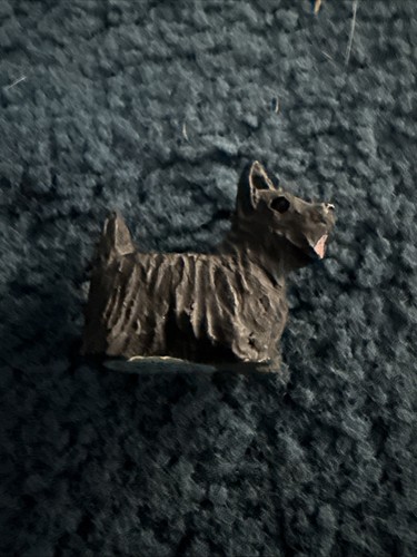 Peter fagan black - peter, dog