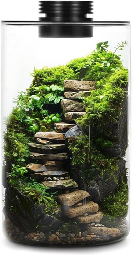Desktop glass terrarium - glass,