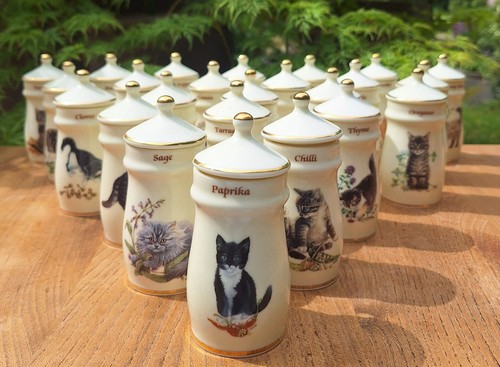 Lesley anne ivory cat - lesley,