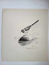 Vintage Pencil Drawing Print