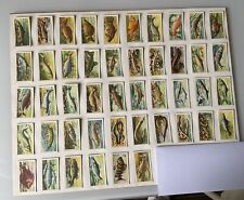 FRESHWATER FISH - 'SELECT A CARD' BROOKE BOND TEA CARDS