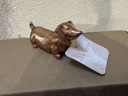 Sausage dog dachshund - dog,