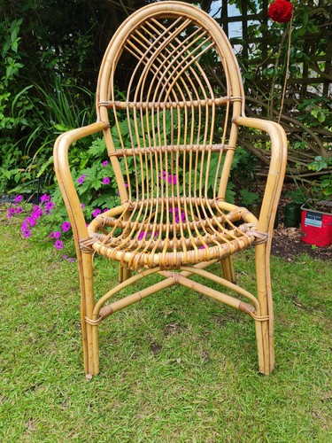 Boho retro tiki - retro, cane