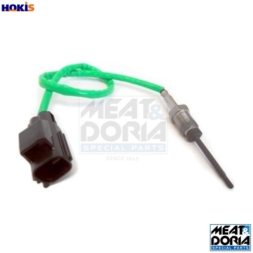 Sensor exhaust gas temperature - gas,