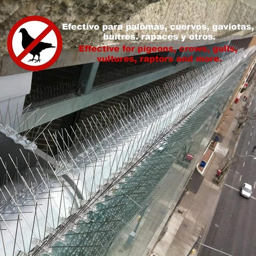 10m bird spikes for - bird, pigeon