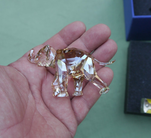 Swarovski crystal scs - crystal, 2013