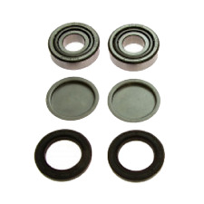 Swing arm bearing repair kit