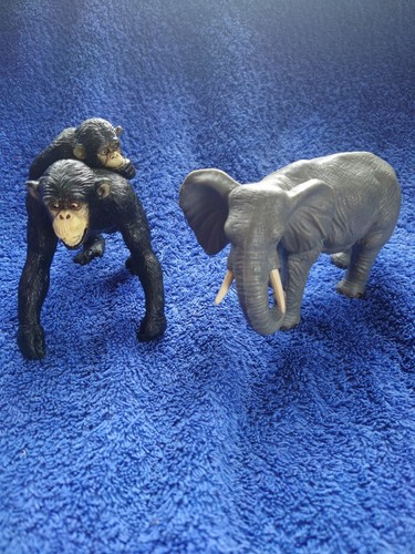 Elc aaa chimpanzee - aaa, monkey
