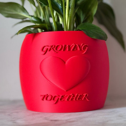 Self watering plant - plant, pot