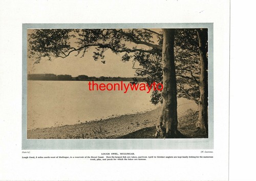 Lough owel mullingar - lough, owel,