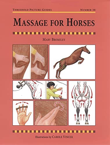 Massage for horses - massage, (threshold