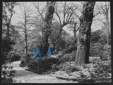 Photo LONDON GREENWICH PARK