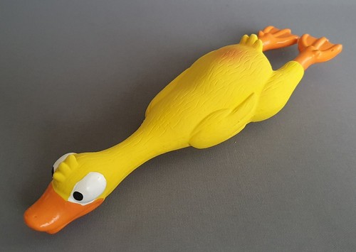 Latex yellow duck dog - latex,