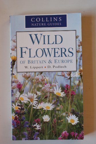Wild flowers britain and - of,