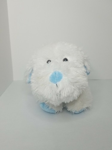 Beverly hills teddy bear - hills,