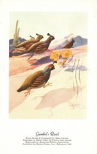 Vintage Postcard 1956 Gambel's