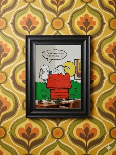 Rare vintage peanuts snoopy - rare,