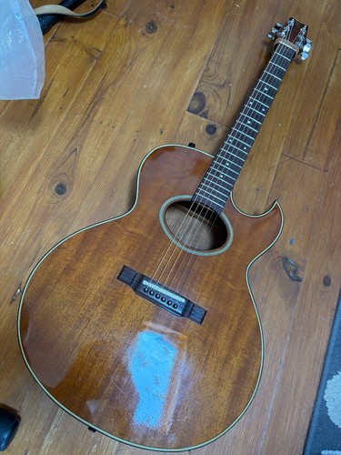 Vintage washburn woodstock - vintage,