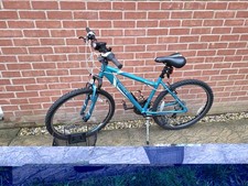 Apollo Entice Womens Mountain