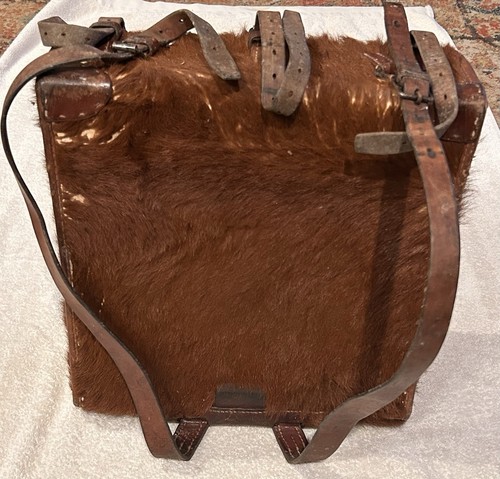 Vintage wwii swiss army horse - army,