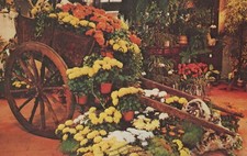 Sicilian Gypsy Cart Newport