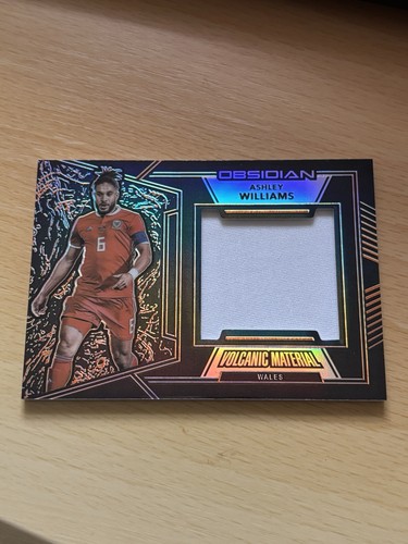 Ashley williams match worn - ashley,