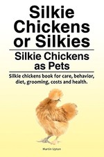 Silkie Chickens or Silkies