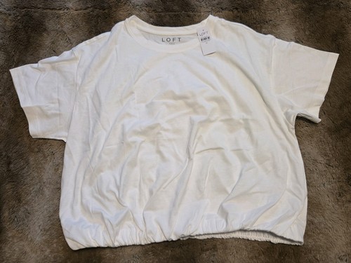 Loft nwt women - nwt, women's