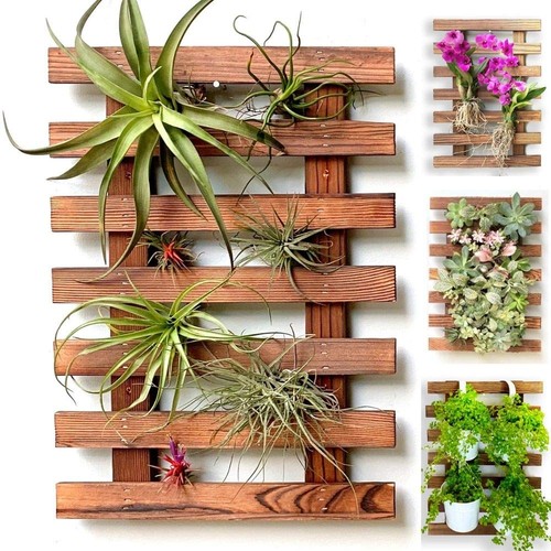 Wooden wall planter for air - wooden,