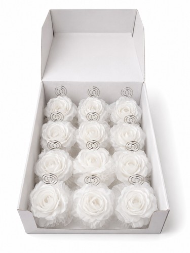 Amscan set rose place - amscan,