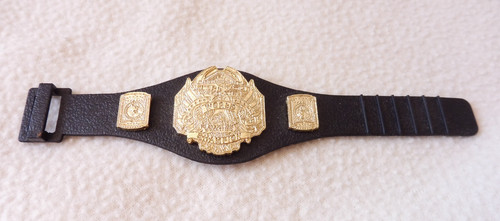 Miniature tna world title 2007 - tna,