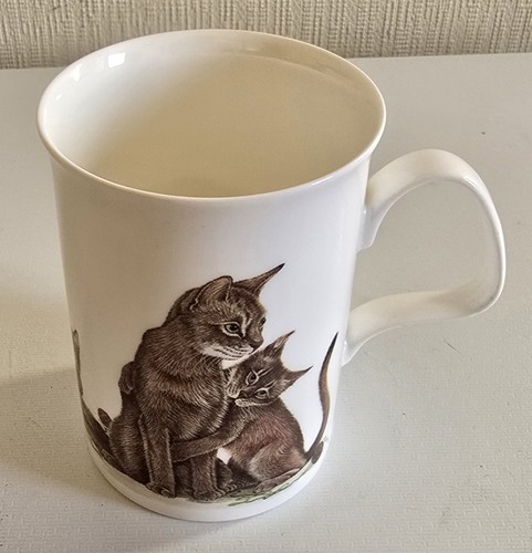 Roy kirkham cat - roy,