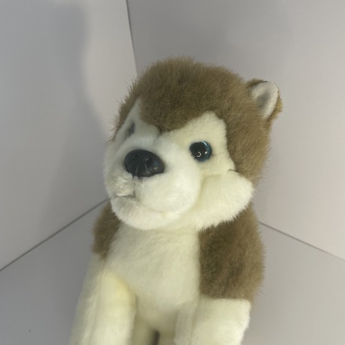 Lapland hunaja brown and white - hunaja,
