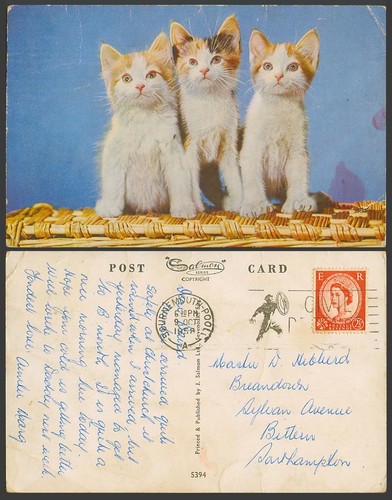 Cats kittens basket 1958 - basket,