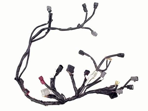 Wiring harness miscellaneous - wiring,