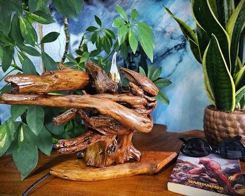 Handmade natural thuja - thuja, root