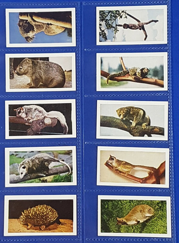 Hornimans tea cards wild - hornimans,