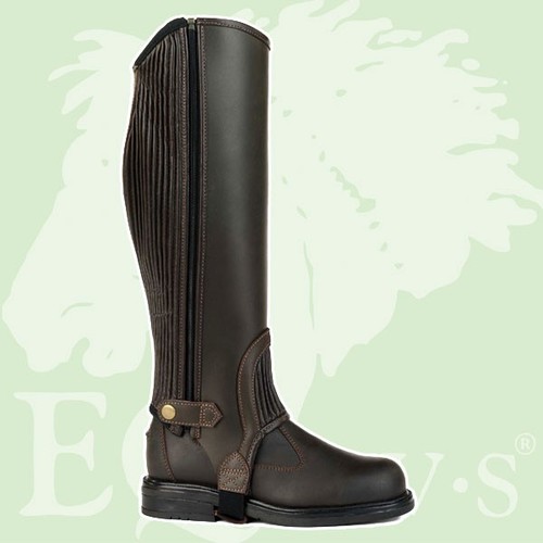 Eqvvs english gaiter company - eqvvs/english,
