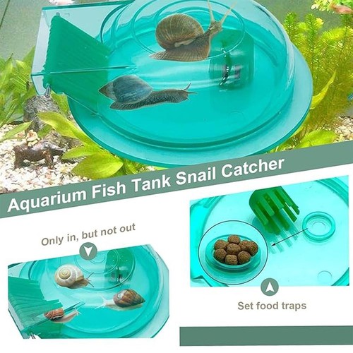 Aquarium snail trap - snail, trap,plastic