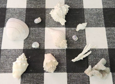 11 Vtg 80's California Gift