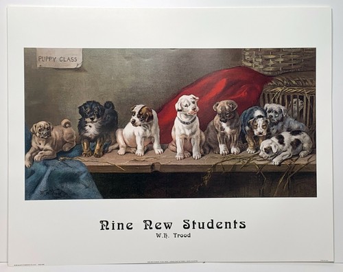 Painting dogs puppy - of, class