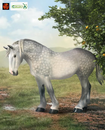 Percheron mare horse - horse, model