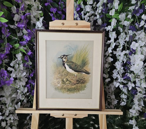 Vintage basil ede framed - basil, bird