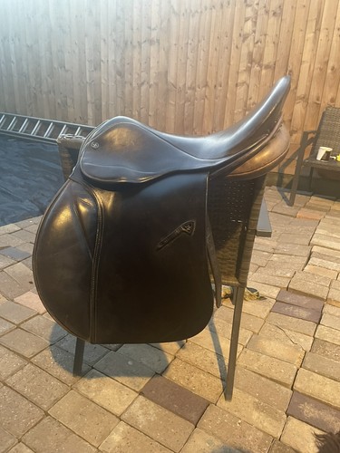 Jefferies falcon adler saddle - falcon,